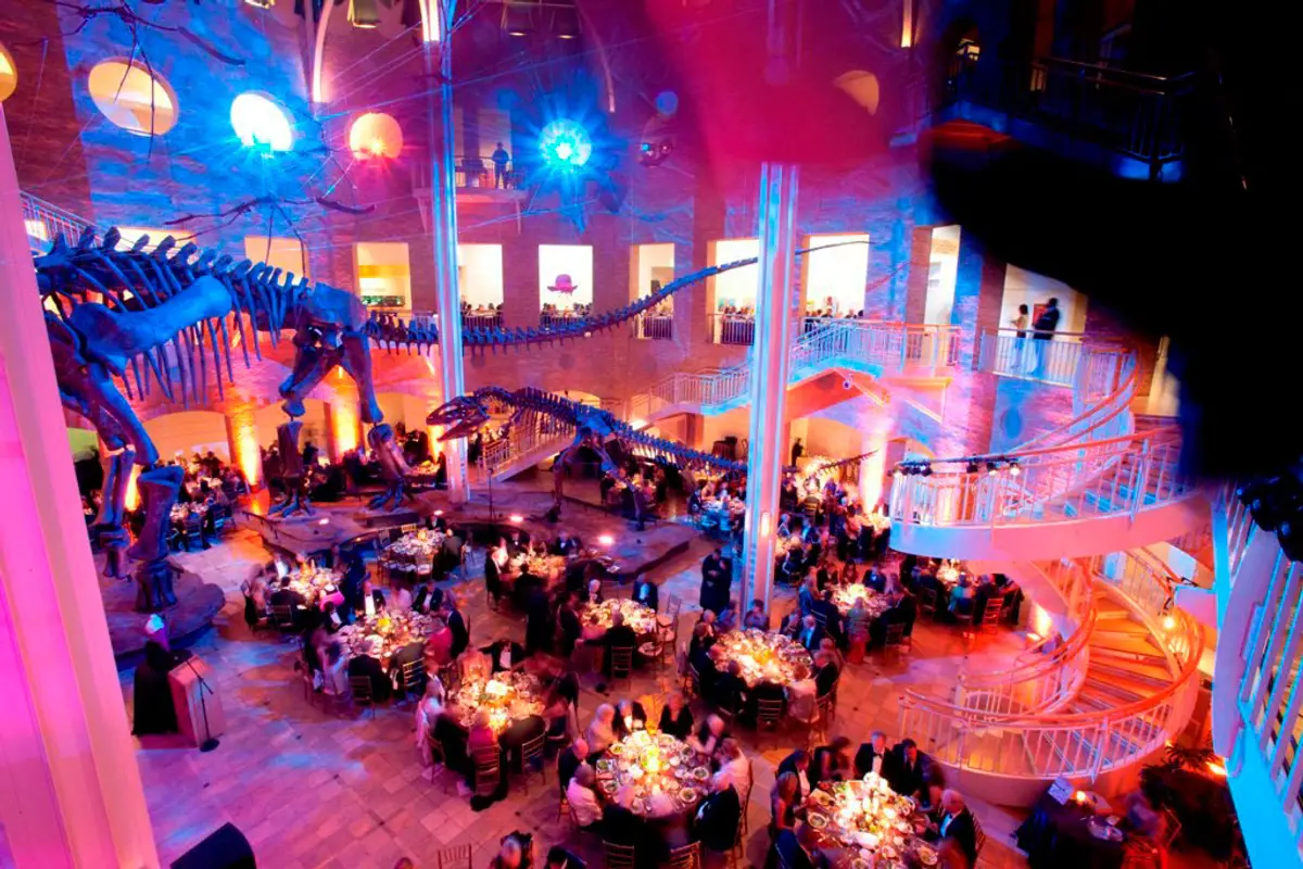 Fernbank Museum of Natural History — wedding venue in Atlanta, Georgia