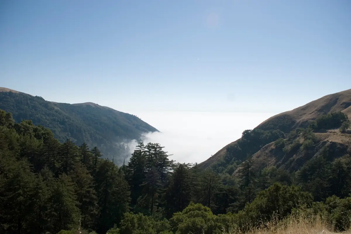 Wind & Sea Big Sur — wedding venue in Big Sur, California