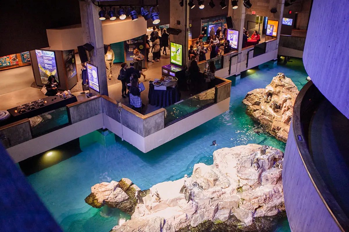 New England Aquarium — wedding venue in Boston, Massachusetts