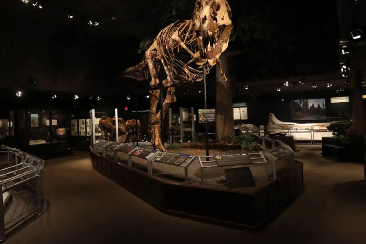 Museum of the Rockies — wedding venue in Bozeman, Montana
