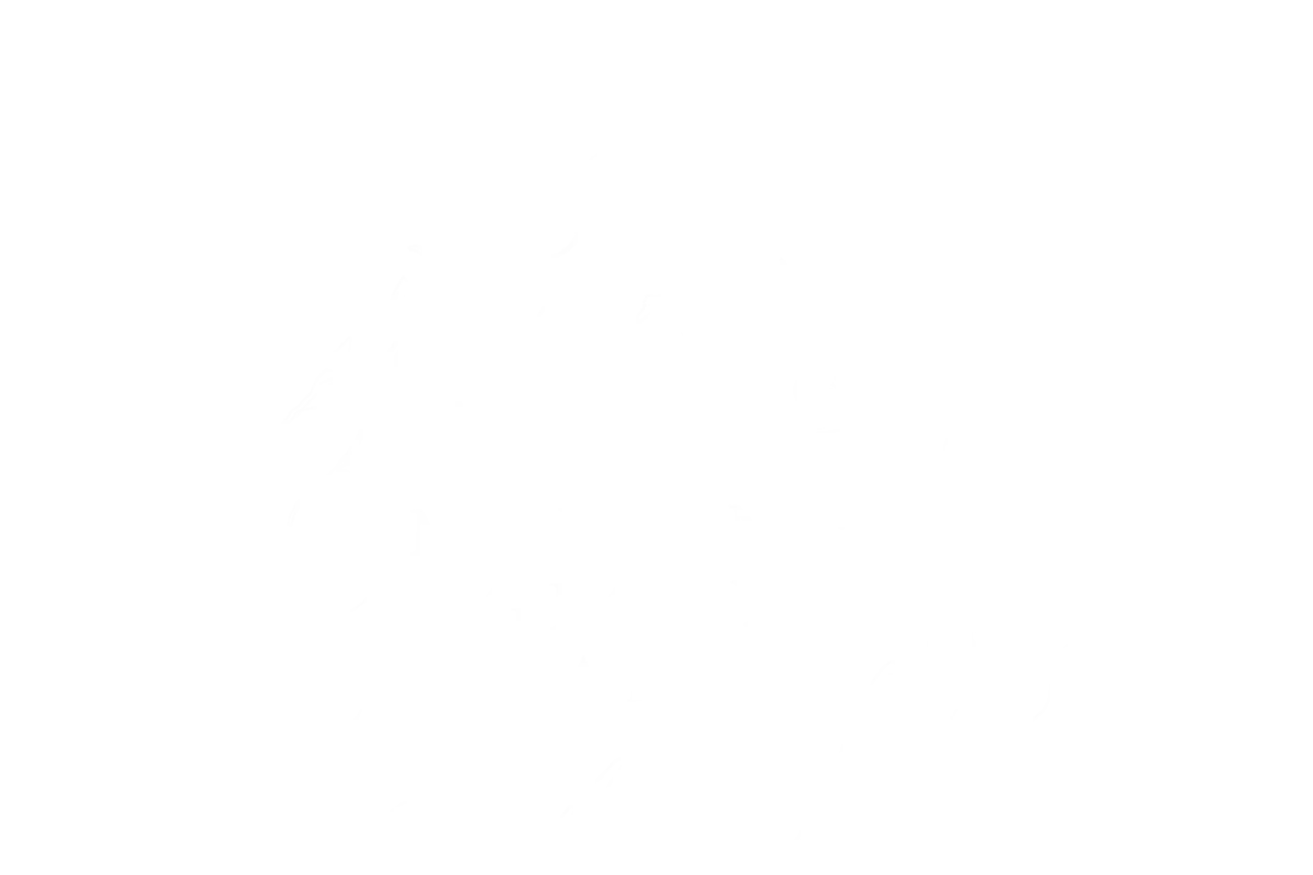 Morning Glory Farm — wedding venue in Charlotte, North Carolina