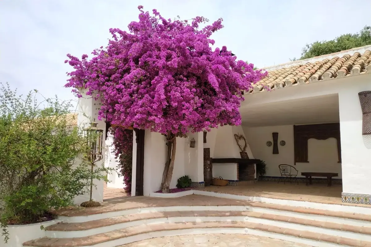 La Vieja Cigarra — wedding venue in Córdoba, Andalusia