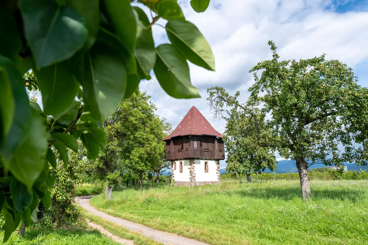 Türmle auf dem Lehener Bergle — wedding venue in Freiburg, Germany