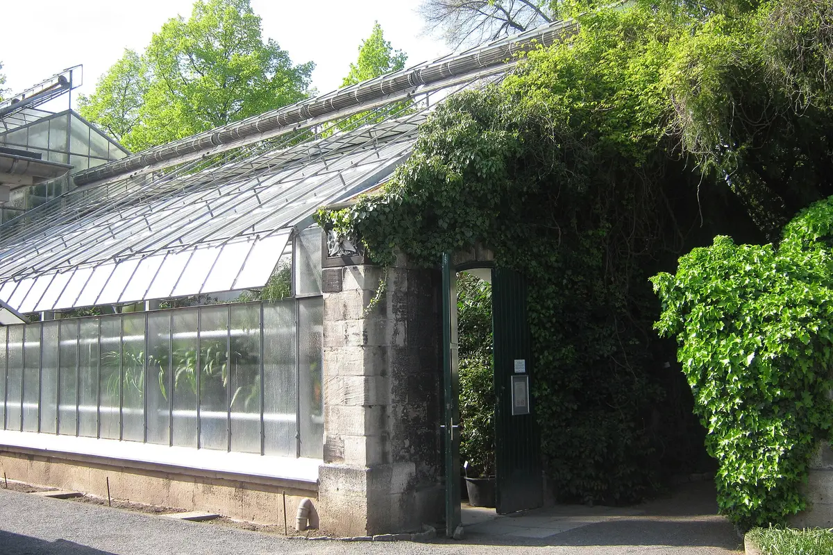 Orangerie im Alten Botanischen Garten — wedding venue in Göttingen, Germany