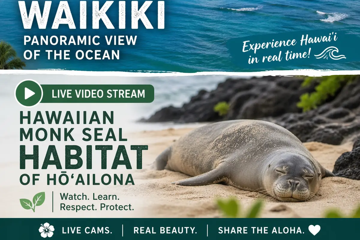 Waikīkī Aquarium — wedding venue in Honolulu, Hawaii