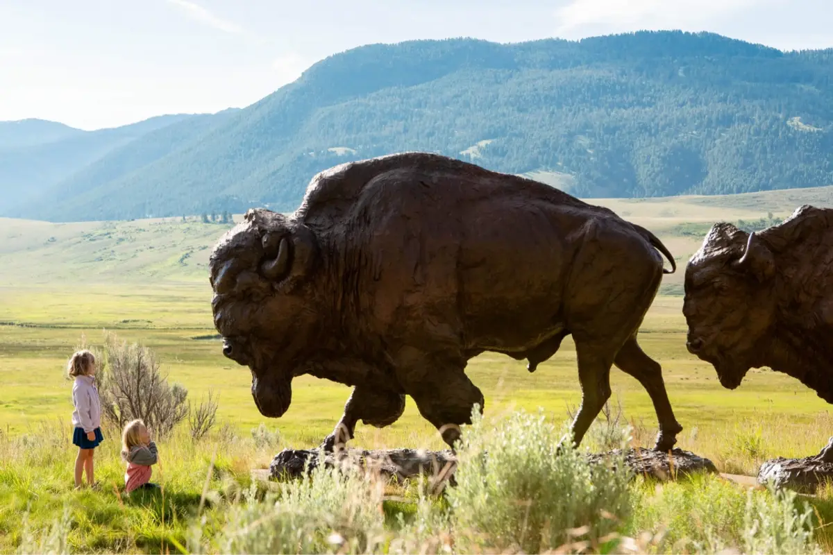 National Museum of Wildlife Art — wedding venue in Jackson Hole, Wyoming