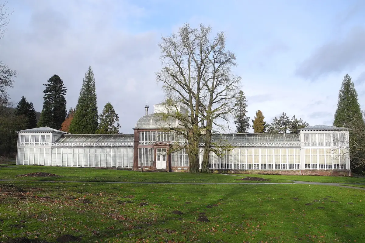 Gewächshaus im Bergpark Wilhelmshöhe — wedding venue in Kassel, Germany