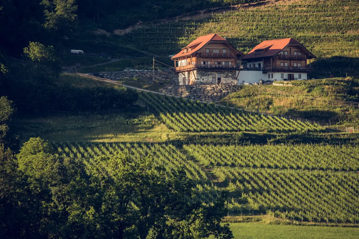 Restaurant Leiten am Weingut Karnburg — wedding venue in Klagenfurt, Austria