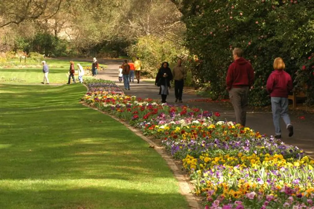 Descanso Gardens — wedding venue in Los Angeles, California