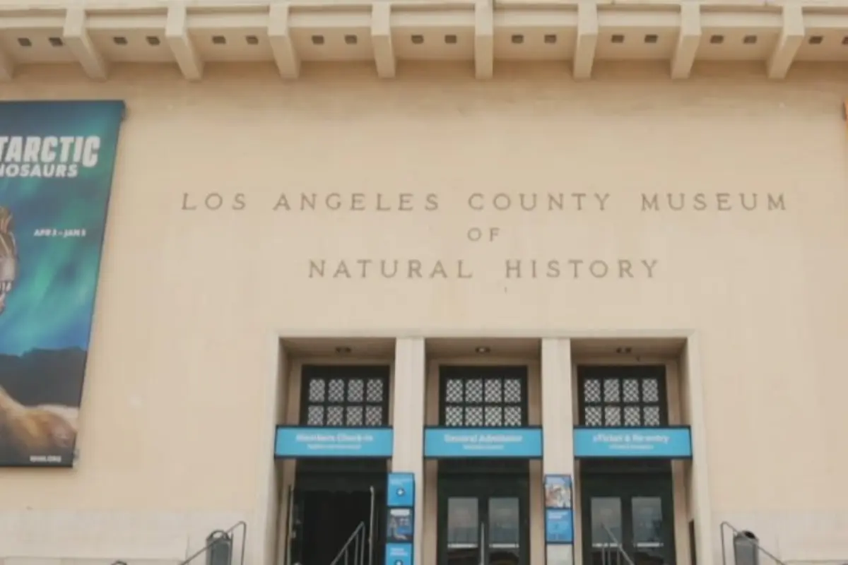 Natural History Museum of Los Angeles County — wedding venue in Los Angeles, California