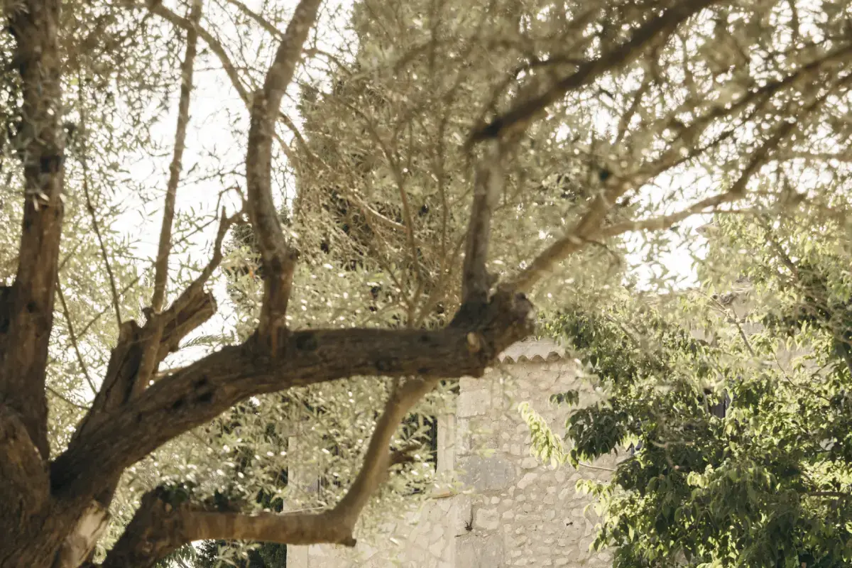 Finca Serena Mallorca — wedding venue in Mallorca, Balearic Islands