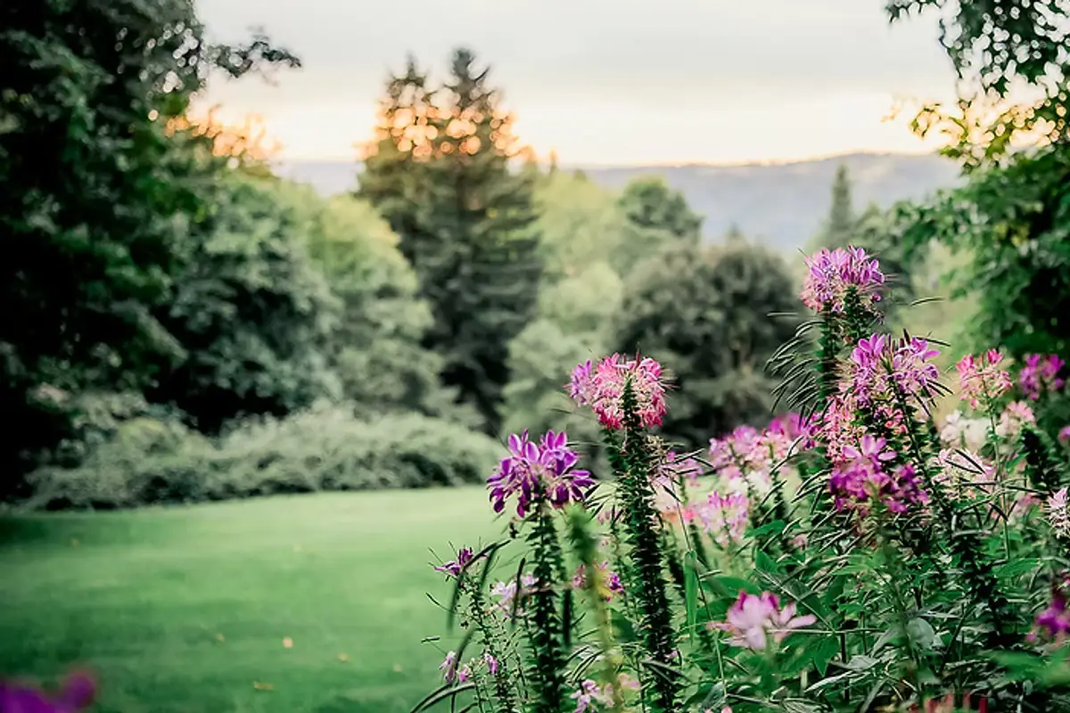Bridal Veil Lakes — wedding venue in Portland, Oregon