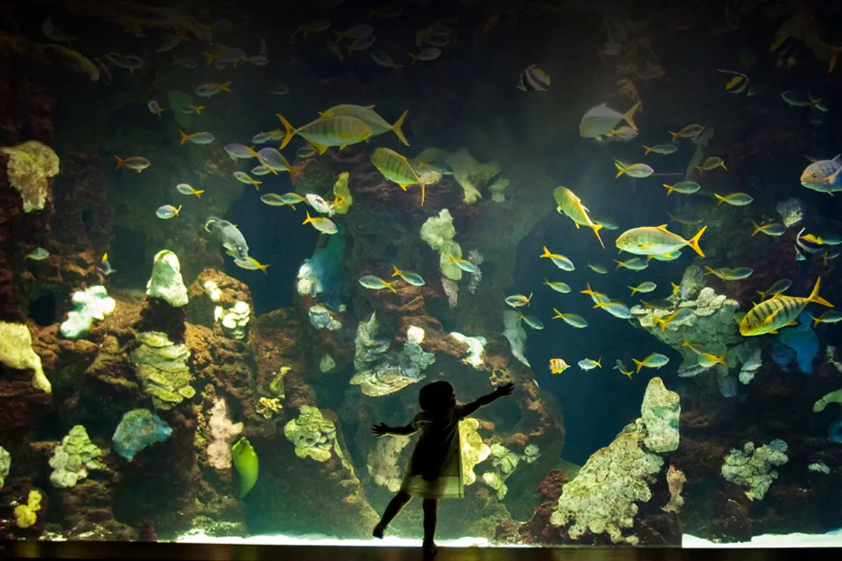 Aquarium Donostia – San Sebastián — wedding venue in San Sebastián, Basque Country