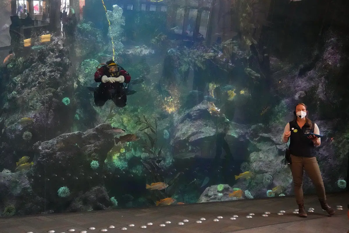 Seattle Aquarium — wedding venue in Seattle, Washington