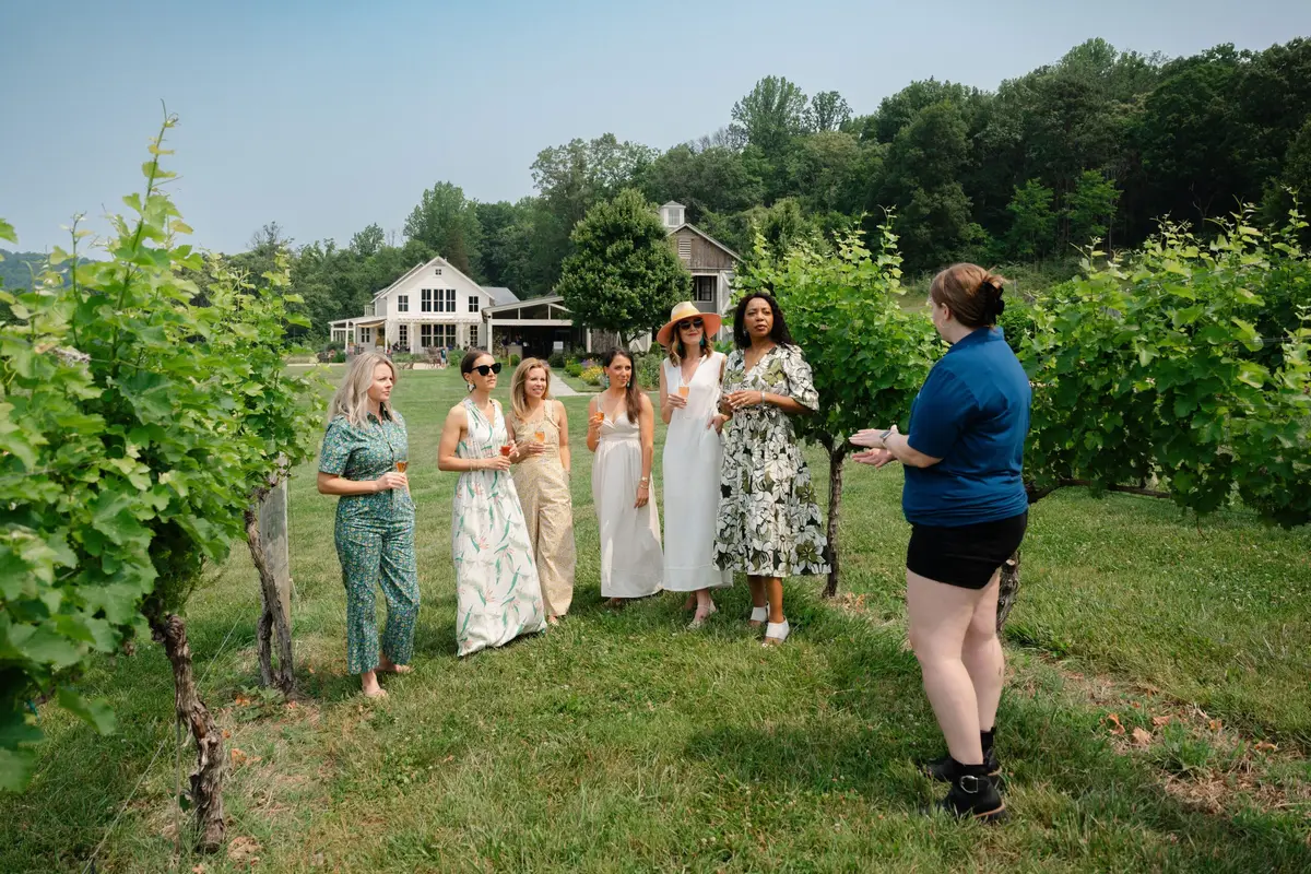 Pippin Hill Farm & Vineyards — wedding venue in Virginia